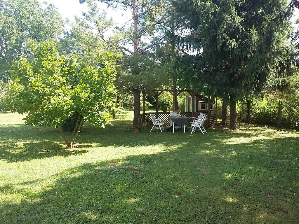 Gesztenyes Vendeghaz Harkan Exterior foto
